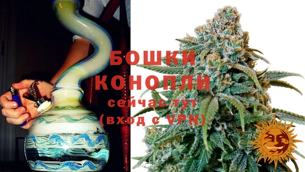 сатива Аркадак