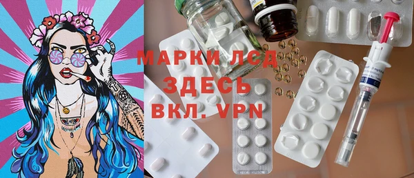 сатива Аркадак