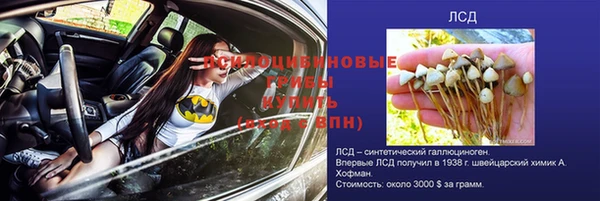 сатива Аркадак